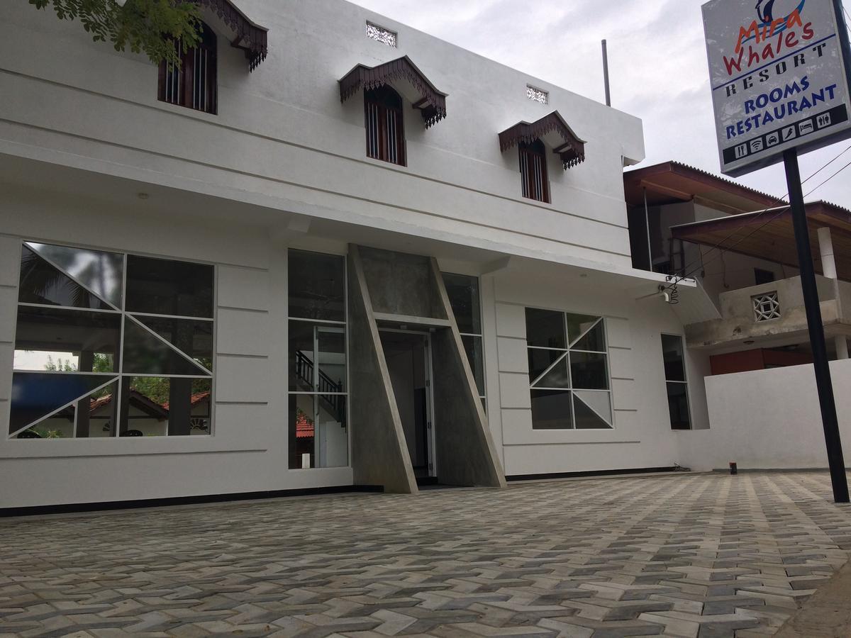 Mira Whales Resort Mirissa Exterior photo