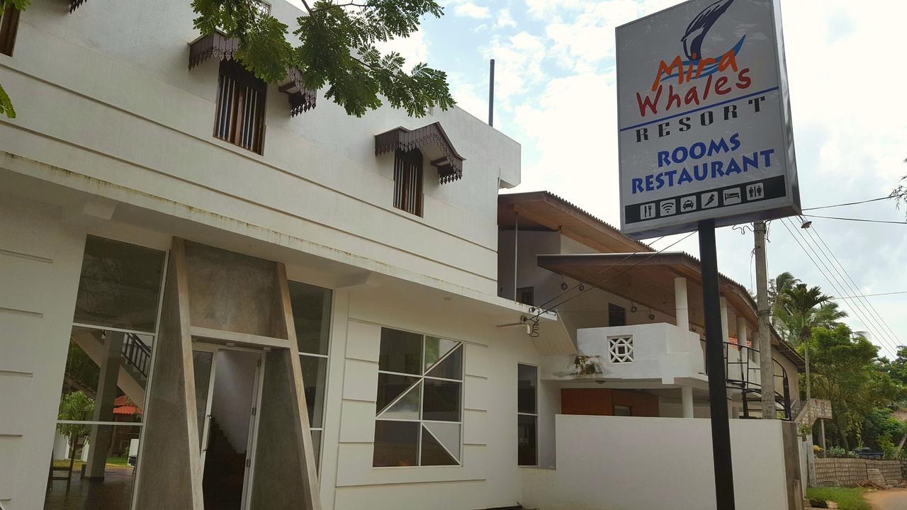 Mira Whales Resort Mirissa Exterior photo